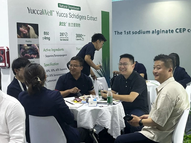 Wellgreen-business-discussion